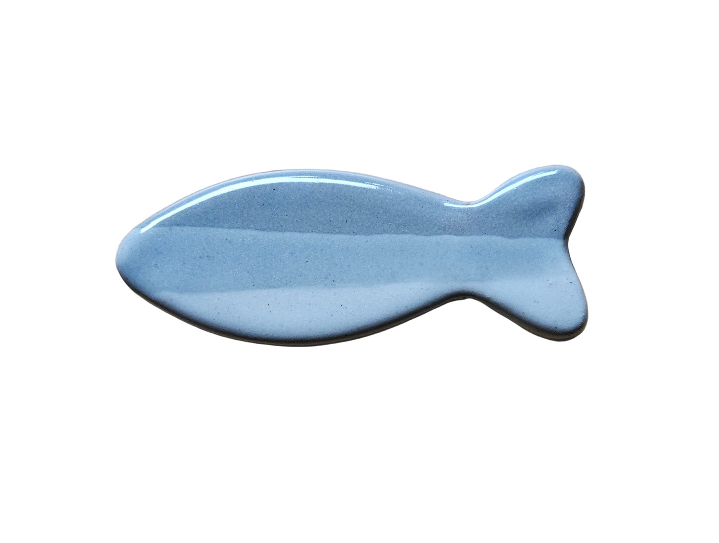 Fish Magnet